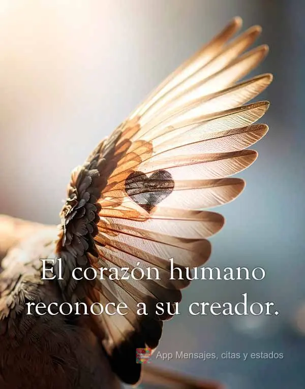 El corazón humano reconoce a su creador.
