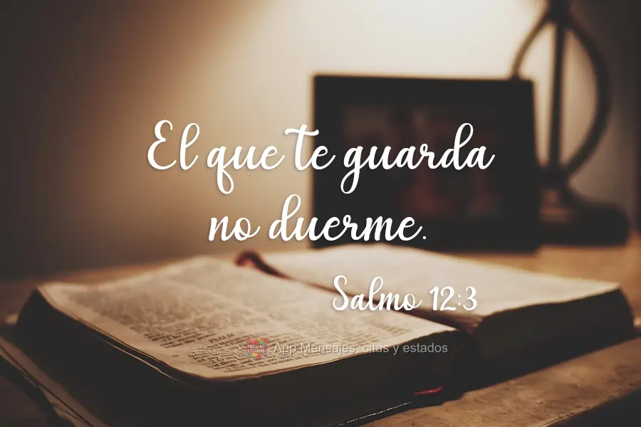 El que te guarda no duerme. Salmo 12:3