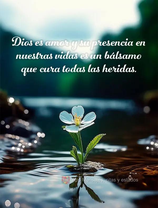 Dios es amor y su presencia en nuestras vidas es un bálsamo que cura todas las heridas.