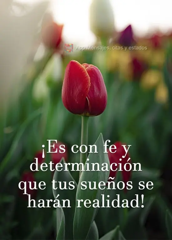¡Es con fe y determinación que tus sueños se harán realidad!