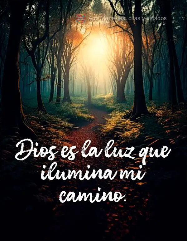 Dios es la luz que ilumina mi camino.