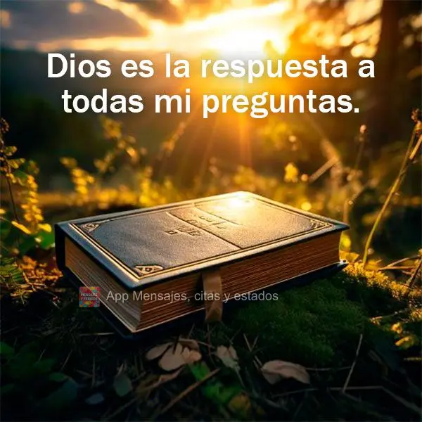 Dios es la respuesta a todas mi preguntas.