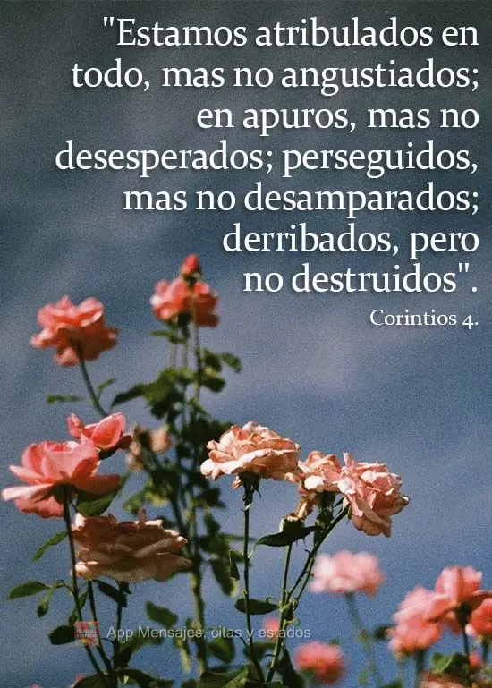 "Estamos atribulados en todo, mas no angustiados; en apuros, mas no desesperados; perseguidos, mas no desamparados; derribados, pero no destruidos". 2 Co...