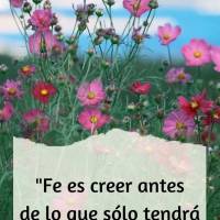 "Fe es creer ANTES de lo que sólo tendrá sentido DESPUÉS". Steven Furtick