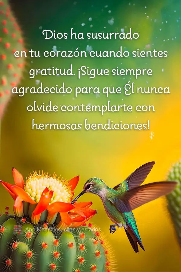 Dios ha susurrado en tu corazón cuando sientes gratitud. ¡Sigue siempre agradecido para que Él nunca olvide contemplarte con hermosas bendiciones!