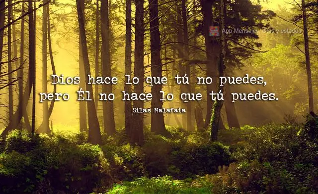 Dios hace lo que tú no puedes, pero Él no hace lo que tú puedes. silas malafaia
