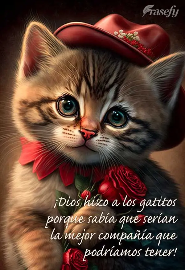 ¡Dios hizo a los gatitos porque sabía que serían la mejor compañía que podríamos tener!