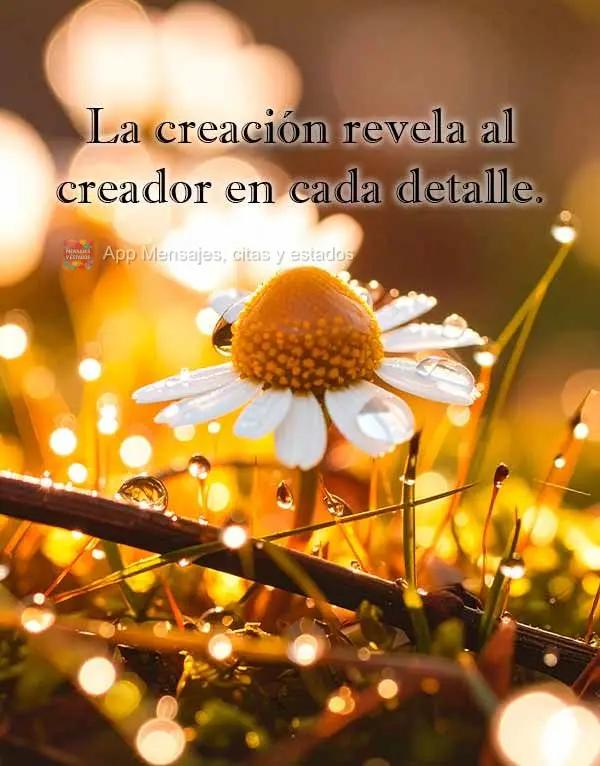 La creación revela al creador en cada detalle.