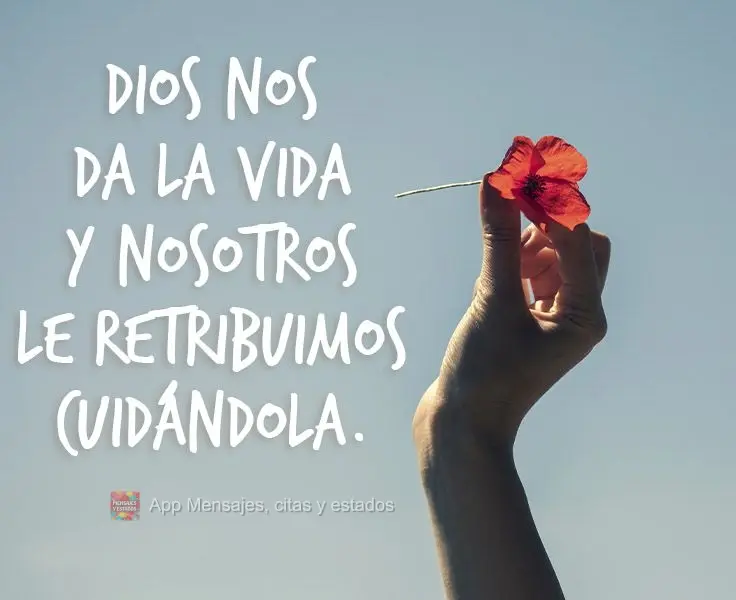 Dios nos da la vida y nosotros le retribuimos cuidándola.