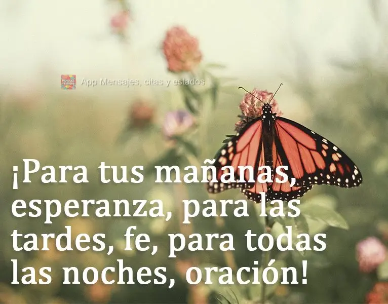 ¡Para tus mañanas, esperanza, para las tardes, fe, para todas las noches, oración!