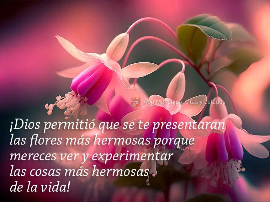 ¡Dios permitió que se te presentaran las flores más hermosas porque mereces ver y experimentar las cosas más hermosas de la vida!