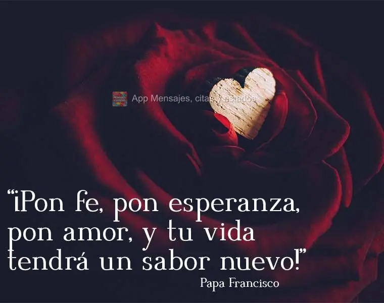 ¡Pon fe, pon esperanza, pon amor, y tu vida tendrá un sabor nuevo! Papa Francisco