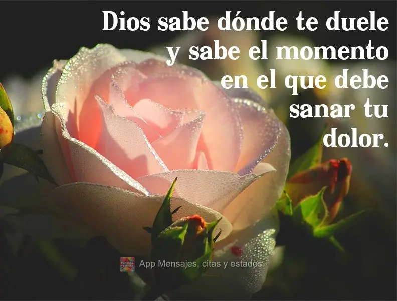 Dios sabe dónde te duele y sabe el momento en el que debe sanar tu dolor.