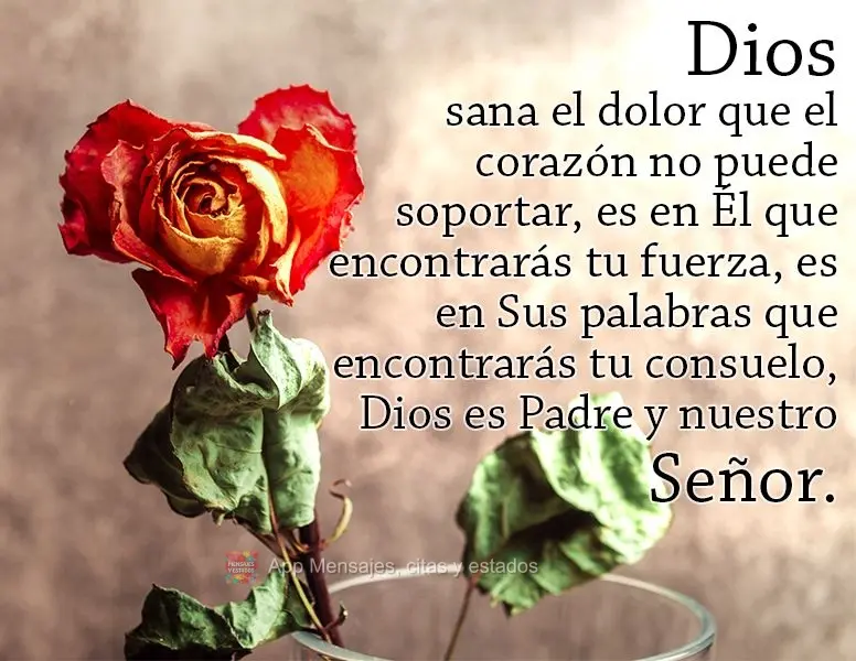 Dios sana el dolor que el corazón no puede soportar, es en Él que encontrarás tu fuerza, es en Sus palabras que encontrarás tu consuelo, Dios es Padr...