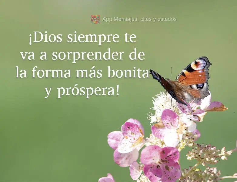 ¡Dios siempre te va a sorprender de la forma más bonita y próspera!