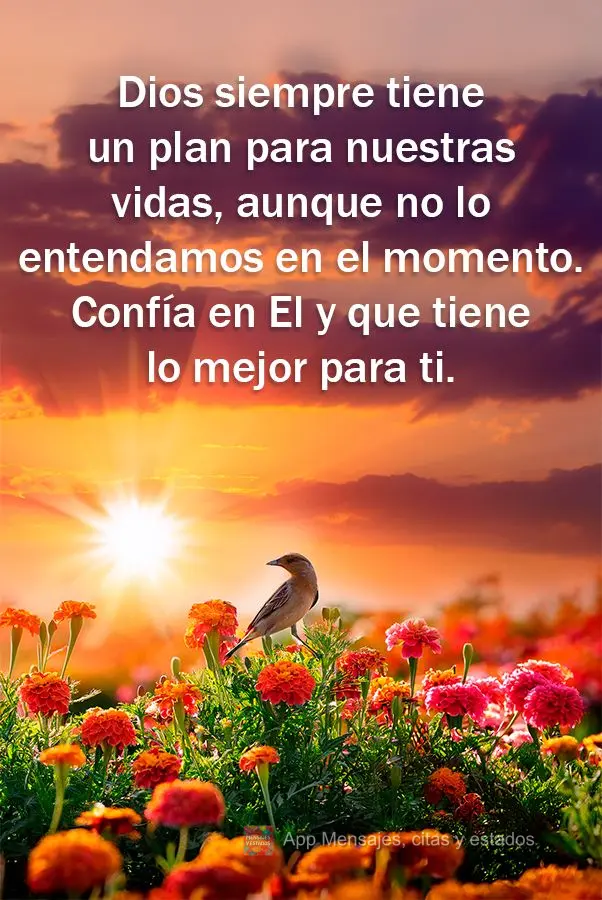 Dios siempre tiene un plan para nuestras vidas, aunque no lo entendamos en el momento. Confía en El y que tiene lo mejor para ti.