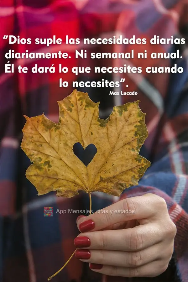 “Dios suple las necesidades diarias diariamente. Ni semanal ni anual. Él te dará lo que necesites cuando lo necesites”. Max Lucado