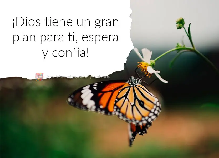 ¡Dios tiene un gran plan para ti, espera y confía!