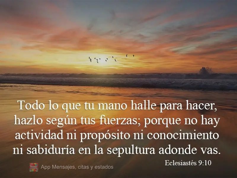 Todo lo que tu mano halle para hacer, hazlo según tus fuerzas; porque no hay actividad ni propósito ni conocimiento ni sabiduría en la sepultura adond...