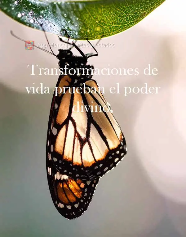 Transformaciones de vida prueban el poder divino.
