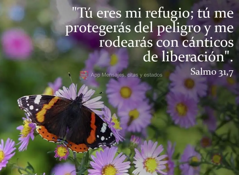 "Tú eres mi refugio; tú me protegerás del peligro y me rodearás con cánticos de liberación".  Salmo 32:7