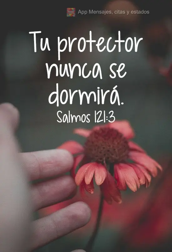 "Tu protector nunca se dormirá" (Salmos 121:3).