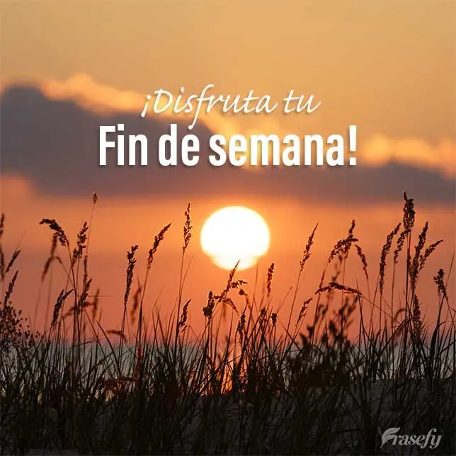 ¡Disfruta tu fin de semana!