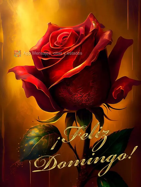 ¡Feliz domingo!