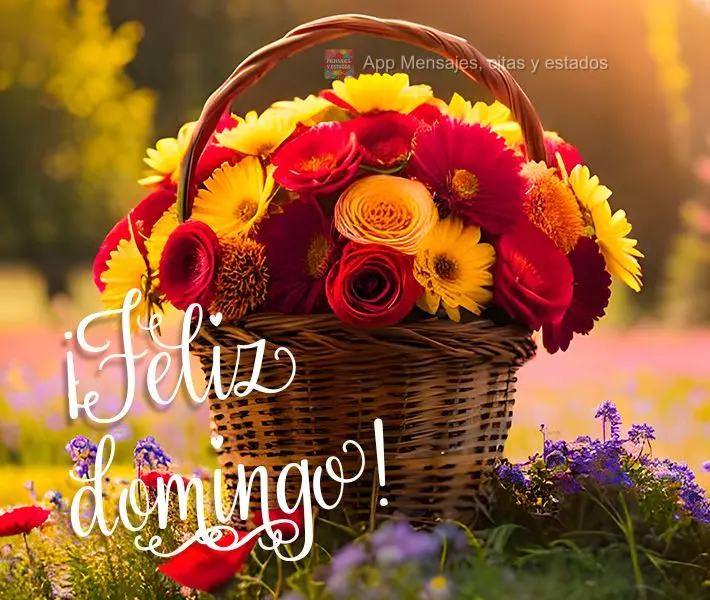 ¡Feliz domingo!
