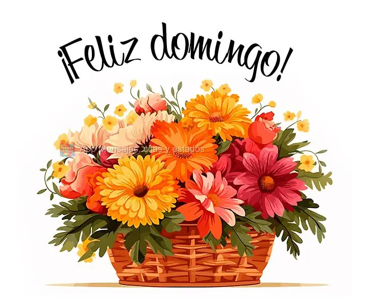 ¡Feliz domingo!