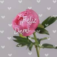 ¡Feliz Domingo!