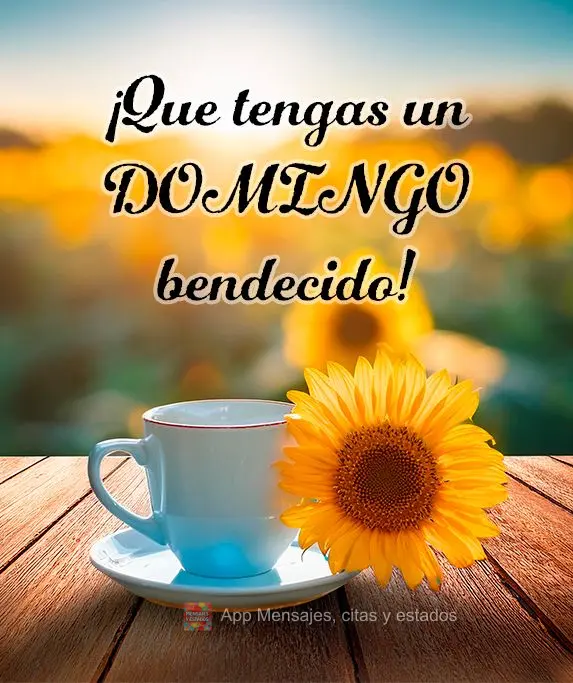 ¡Que tengas un domingo bendecido!