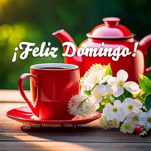 ¡Feliz Domingo!