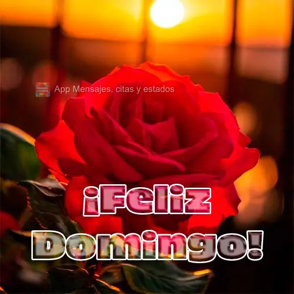 ¡Feliz Domingo!