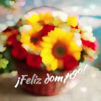 ¡Feliz domingo!