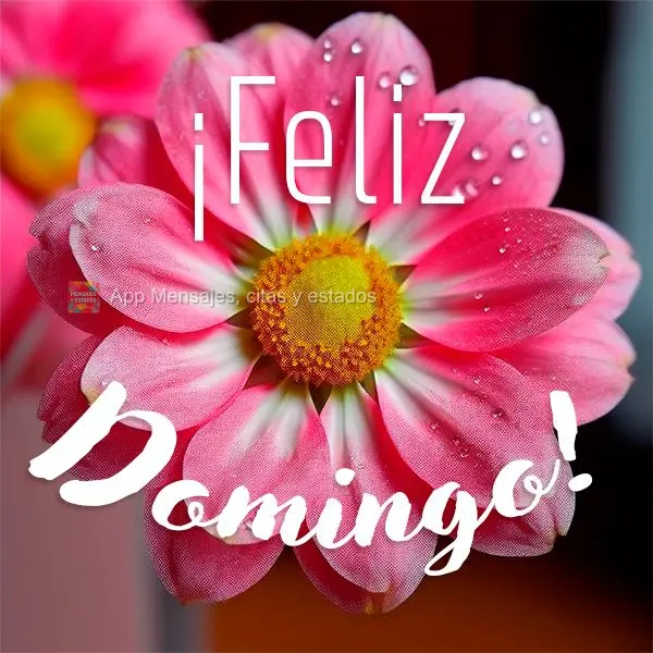 ¡Feliz domingo!