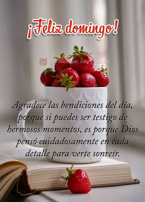 Agradece las bendiciones del día, porque si puedes ser testigo de hermosos momentos, es porque Dios pensó cuidadosamente en cada detalle para verte son...