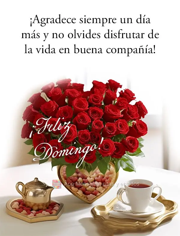 ¡Agradece siempre un día más y no olvides disfrutar de la vida en buena compañía! ¡Feliz domingo!