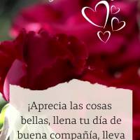 ¡Aprecia las cosas bellas, llena tu día de buena compañía, lleva la vida sin rencores y te sentirás más feliz! ¡Feliz Domingo!