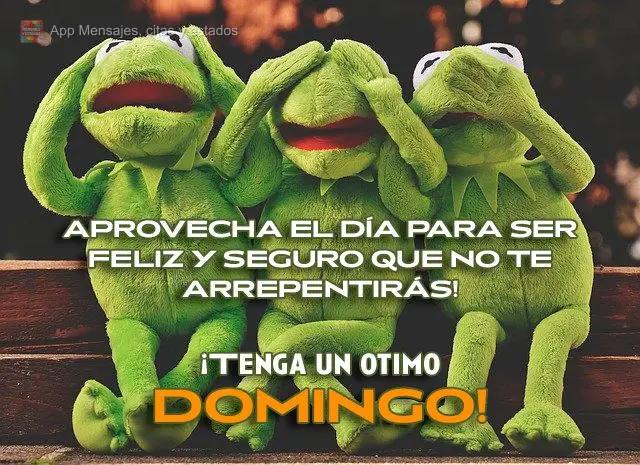 Aprovecha el día para ser feliz y seguro que no te arrepentirás! ¡Tenga un otimo Domingo!