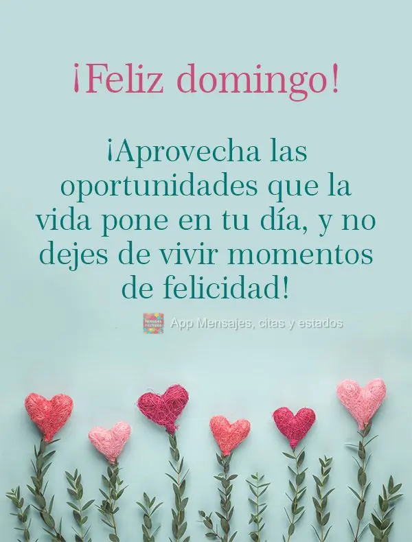 ¡Aprovecha las oportunidades que la vida pone en tu día, y no dejes de vivir momentos de felicidad! ¡Feliz domingo!