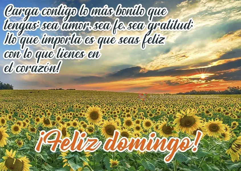 Carga contigo lo más bonito que tengas: sea amor, sea fe, sea gratitud; ¡lo que importa es que seas feliz con lo que tienes en el corazón! ¡Feliz dom...