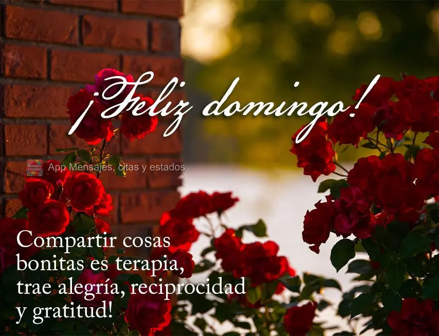 Compartir cosas bonitas es terapia, trae alegría, reciprocidad y gratitud! ¡Feliz domingo!