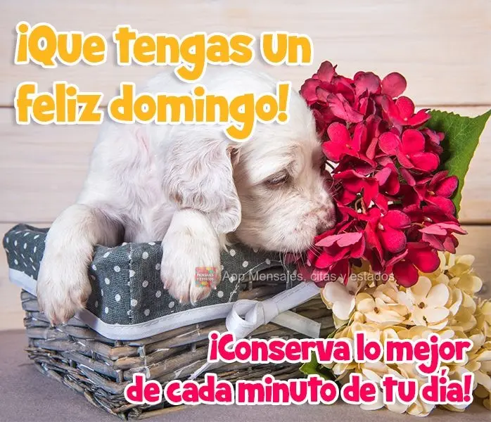¡Conserva lo mejor de cada minuto de tu día! ¡Que tengas un feliz domingo!