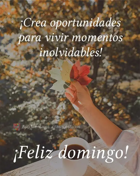 ¡Crea oportunidades para vivir momentos inolvidables! ¡Feliz domingo!