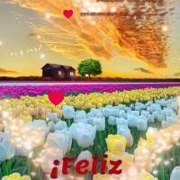 Cree en ti mismo cuando nadie más lo hace. Es este momento el que define tu verdadera fuerza. ¡Feliz domingo!