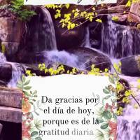 Da gracias por el día de hoy, porque es de la gratitud diaria que tienes toda una vida de bendiciones. ¡Domingo!