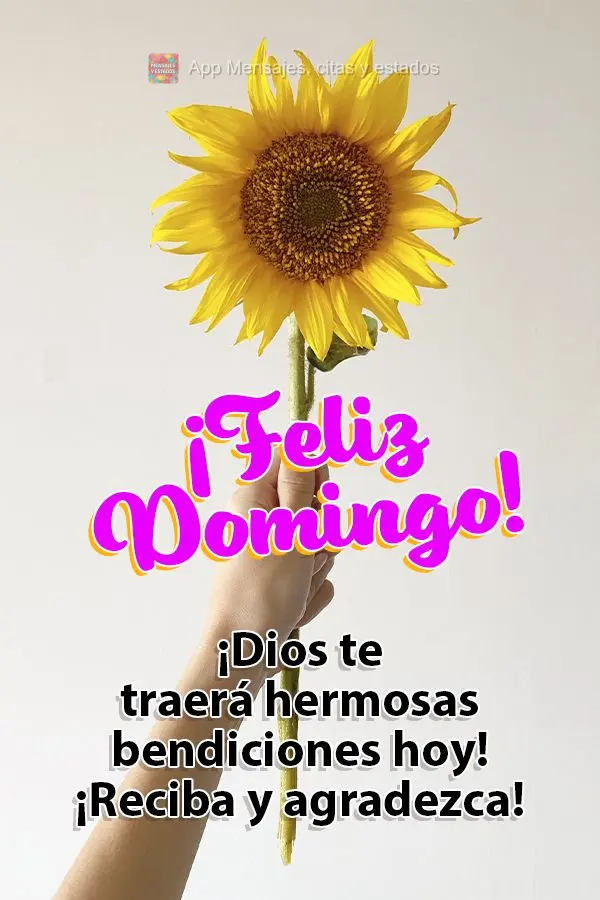 ¡Dios te traerá hermosas bendiciones hoy! ¡Reciba y agradezca! ¡Feliz Domingo!