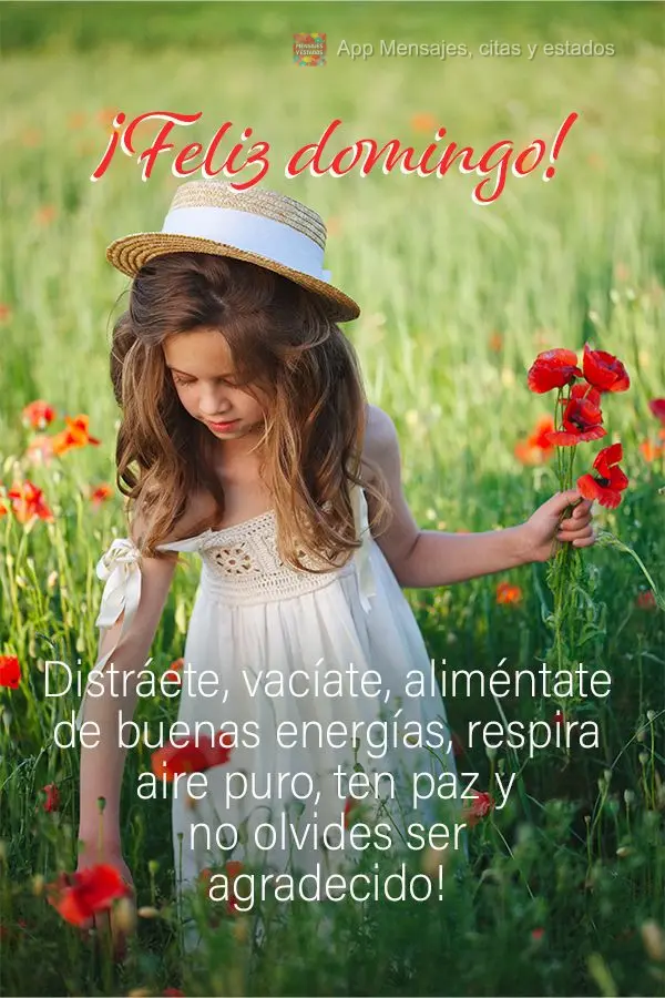 Distráete, vacíate, aliméntate de buenas energías, respira aire puro, ten paz y no olvides ser agradecido! ¡Feliz domingo!