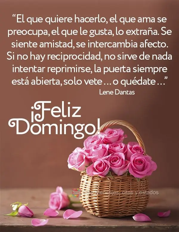 “El que quiere hacerlo, el que ama se preocupa, el que le gusta, lo extraña. Se siente amistad, se intercambia afecto. Si no hay reciprocidad, no sirv...